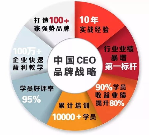 中國(guó)CEO品牌戰(zhàn)略與營(yíng)銷策劃研修班 以專業(yè)服務(wù)驅(qū)動(dòng)企業(yè)品牌國(guó)際化進(jìn)程