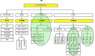 從養(yǎng)殖場(chǎng)到展示臺(tái) 中擂品牌策劃賦能江豐實(shí)業(yè)肉雞全產(chǎn)業(yè)鏈整合營(yíng)銷(xiāo)